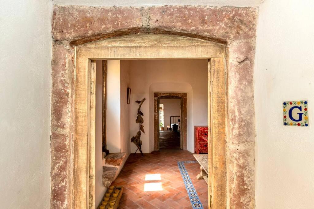 Appartement Amapola Loft à San Miguel de Allende Extérieur photo